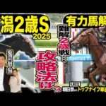 《東スポ競馬ニュース》【新潟2歳S2025】ついに来た!月曜競馬ニュースに元天才騎手田原成貴が登場!!先週大的中の朝日奈ゆうと夏の2歳戦を徹底解説!そして有力馬を競馬記者が解説します