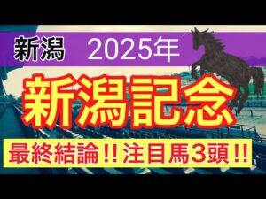 【新潟記念2025】蓮の競馬予想(最終結論)〜直近9レース中7レースで好予想