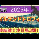 【アイルランドトロフィー2025】蓮の競馬予想(最終結論)