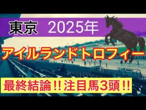 【アイルランドトロフィー2025】蓮の競馬予想(最終結論)