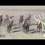 川崎競馬ダイジェスト（2026年7月10日）