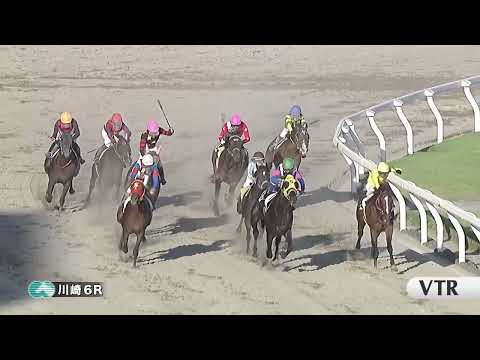 川崎競馬ダイジェスト（2026年7月10日）