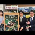ダート競馬JAPAN｜第150回　かしわ記念　兵庫チャンピオンシップ　兵庫優駿　ダイヤモンドカップ｜NAR公式