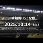 【第8回開催】川崎競馬パドック解説付きLIVE(2025年10月14日)