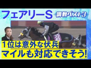 「大化けの予感!?」エリカエクスプレス 、ホウオウガイア、レイユール・・・競馬エイト・高橋賢司トラックマンの調教解説<フェアリーステークス(GⅢ)>