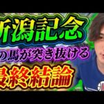 【新潟記念2025最終結論】ポテンシャル最上位‼️超豪華メンバーでもこの馬が突き抜ける🫵