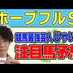 【競馬】ホープフルSでのじゃいの予想【勝ち馬予想】