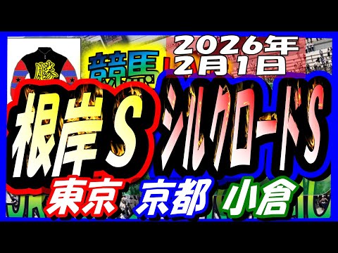 2026年2月1日【競馬 JRA全レース予想ライブ】根岸Ｓ、シルクロードＳ。東京、京都、小倉