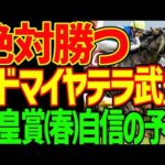 【天皇賞(春)予想】武豊の長距離の腕は本物！クロワデュノールは能力はぶっちぎり！しかし能力があるから負ける！北村友一が能力を信じすぎる！アドマイヤテラだ！2026年天皇賞(春)予想動画【競馬ゆっくり】