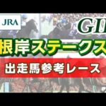 【参考レース】2026年 根岸ステークス｜JRA公式