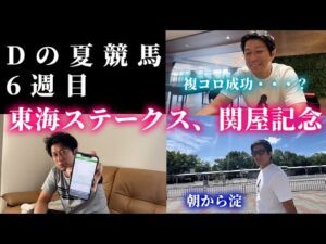 東海ステークス、関屋記念までの1週間。Dは調子を取り戻せるか・・・？