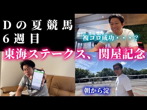 東海ステークス、関屋記念までの1週間。Dは調子を取り戻せるか・・・?