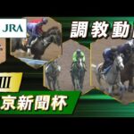 【調教動画】2026年 東京新聞杯｜JRA公式