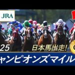 2025年 チャンピオンズマイル(G1)| JRA公式