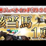 【阪神ジュベナイルF2025 予想】全条件パーフェクト◉想定3番人気の鉄板馬＋15番人気の大穴を狙い撃つ！