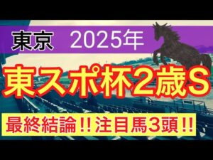 【東スポ杯2歳ステークス2025】蓮の競馬予想(最終結論)〜エリザベス女王杯は注目馬で完全決着