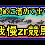 【競馬】トーマスの日常。奇跡的に土曜競馬をZEROで我慢して脚を溜めて日曜競馬に全てをぶち込んだ結果・・・