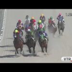 Playback TCK(2025/1/29)