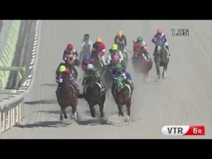 Playback TCK（2025/1/29）