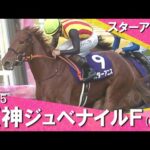 2025年阪神ジュベナイルフィリーズ(ＧⅠ)  スターアニス　実況：川島壮雄【カンテレ公式】