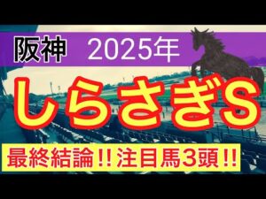 【しらさぎステークス2025】蓮の競馬予想(最終結論)