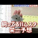 競馬予想【GⅠヴィクトリアM🐎 2026.5.17】いざ連勝へ！今回はどの馬を選ぶのか！？