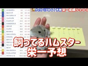 競馬予想【GⅠヴィクトリアM🐎 2026.5.17】いざ連勝へ！今回はどの馬を選ぶのか！？