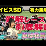 《東スポ競馬ニュース》【アイビスSD2025】スピード以外重要視する要素は?有力馬を競馬記者が解説!
