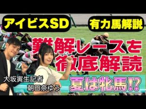 《東スポ競馬ニュース》【アイビスSD2025】スピード以外重要視する要素は?有力馬を競馬記者が解説!