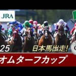 2025年 ネオムターフカップ（G2）| JRA公式