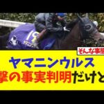 ヤマニンウルス 衝撃の事実判明だけど…【競馬】