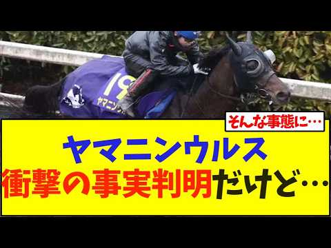 ヤマニンウルス 衝撃の事実判明だけど…【競馬】