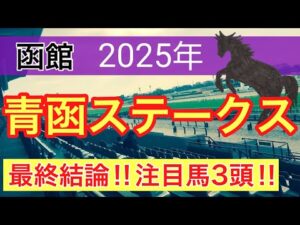 【青函ステークス2025】蓮の競馬予想(最終結論)