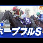 【レース映像】中山11R ホープフルステークス(GI)|クロワデュノール(北村友一)|ウイニング競馬