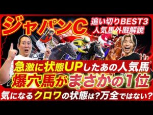 【ジャパンC】状態急上昇の人気馬と追い切り1位の爆穴馬とは!?クロワデュノールの状態と懸念も解説