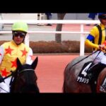 【武豊】フェアリーライク引き上げ 後ろで川田に怒鳴られるカンタw