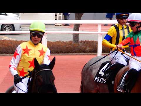 【武豊】フェアリーライク引き上げ 後ろで川田に怒鳴られるカンタw