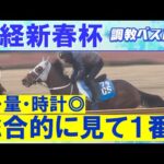 「“もっと速く走りたい” という気持ちが強い!」ヴェローチェエラ 、ホールネス、メイショウタバル・・・競馬エイト・高橋賢司トラックマンの調教解説<日経新春杯(GⅡ)>