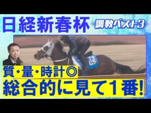 「“もっと速く走りたい” という気持ちが強い！」ヴェローチェエラ 、ホールネス、メイショウタバル・・・競馬エイト・高橋賢司トラックマンの調教解説＜日経新春杯(ＧⅡ)＞