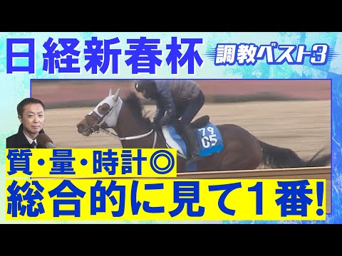 「“もっと速く走りたい” という気持ちが強い!」ヴェローチェエラ 、ホールネス、メイショウタバル・・・競馬エイト・高橋賢司トラックマンの調教解説<日経新春杯(GⅡ)>