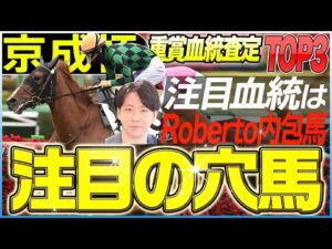 【京成杯2026】中山2000はRoberto内包馬！注目したいハービンジャー産駒の穴馬とは？(坂上明大の重賞血統査定)《東スポ競馬》
