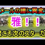 【競馬】ルメールおじさんの日常。ルメール先生の腰に異変が!?武藤雅騎手に乗り戻りのあの馬の単勝で勝負!!君こそ次のスターだ!!