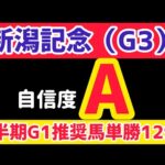 【新潟記念2025】化け物が出走してきます【競馬予想】