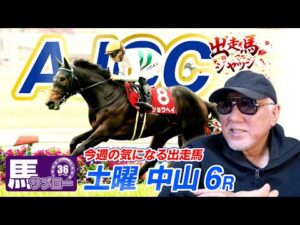 【2026 AJCC】出走馬ジャッジ