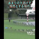 【 競馬 】後世に語り継がれるレース！大逃げ馬を驚異の末脚で、天才・イクイノックス初G1制覇だ！G1・1番人気連敗脱出！【 2022 天皇賞秋 】 #shorts