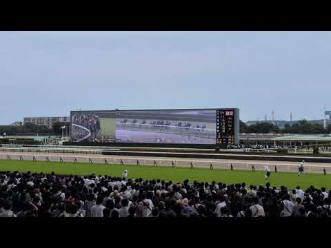 東京競馬場にて宝塚記念レース模様。馬場が重でどよめく場内。そして武豊騎手、メイショウタバルにて２連覇。親子宝塚記念連覇。歴史的瞬間　#競馬　#東京競馬場　#宝塚記念　#メイショウタバル　#武豊