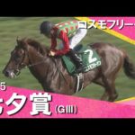 2025年 七夕賞(GⅢ) コスモフリーゲン  【カンテレ公式】