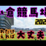 【小倉競馬場攻略2026】距離別の強めの特徴を徹底解説　馬券に役立つ有利な脚質、枠、騎手、血統など買い方を攻略