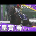 【歴史に残る大接戦】2026年 天皇賞(春)ＧⅠ  クロワデュノール　実況：川島壮雄 【カンテレ公式】