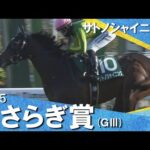 2025年 きさらぎ賞 (GⅢ) サトノシャイニング 実況:石田一洋【カンテレ公式】